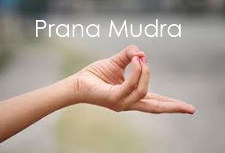 VIC Rocklyn Ashram January Intensive - Prana, Pranayama, Mudras & Koshas  With Swami Atmamuktananda. This retreat offers an in-depth exploration and experience of prana – vital life force. Includes pranayama practices to expand and restore vitality, balance emotions, steady the mind... 